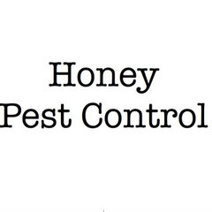 Honey Pest Control