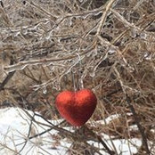 Julie Vanderlaan Grow's photo