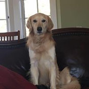 Karen Keating's photo