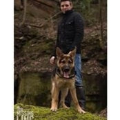 Brett Gartland's photo