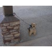Jim Allen's photo
