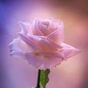 Lena Phill's photo