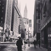Tom Quayle's photo