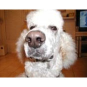 Kathy Wise's photo