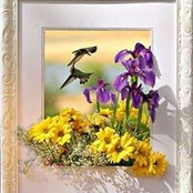 Debbie Dogonski's photo