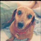 Raphaela Pareto's photo