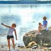 Sara Dunn's photo