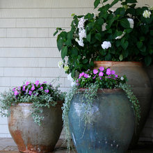 Garden-plantings