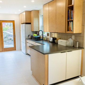 Takoma Park Kitchen