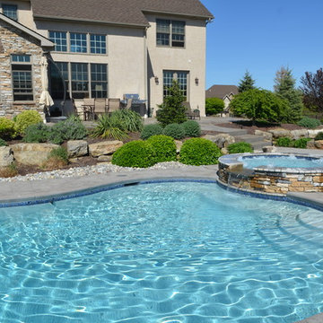 Freeform Salt Water Pool with Raised Spa