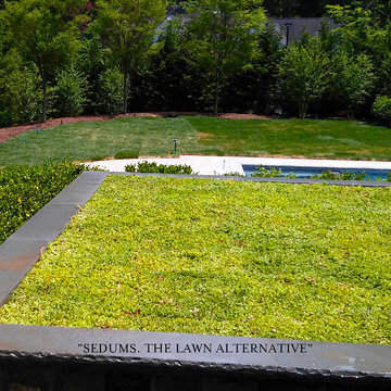 Lawn Alternative-North Shore Long Island residence