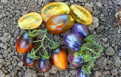 Open Up a World of Color and Flavor With These 10 Edible Plants