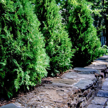 Highland Park Sanctuary