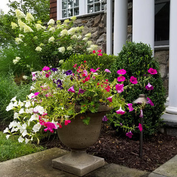 Front Entryway and Backyard Landscaping