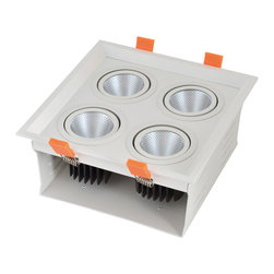 LED down light - Ceiling Lighting