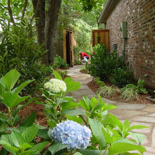 Landscape Ideas