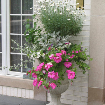 Container Pot Gardens