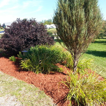Bringing Back the Love to Balmoral Drive - Before and After Photos
