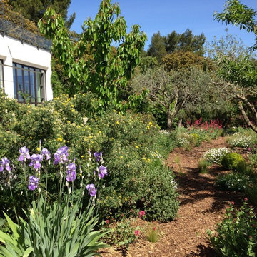 JARDIN PANORAMIQUE
