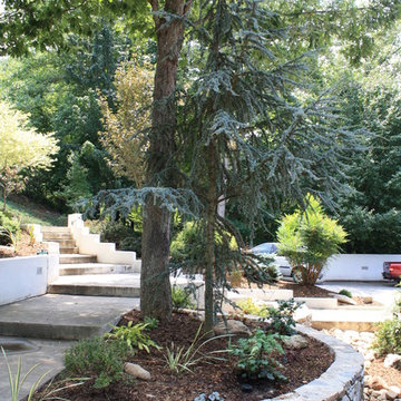 Hillside Gardening