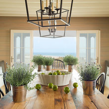 lynn_markowitz's ideas