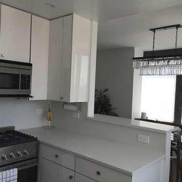 300 e 85th st full reno