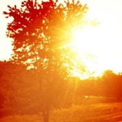 Elyse Sipka's photo