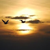 Shelly Licht's photo