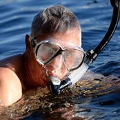 Don Poissons foto