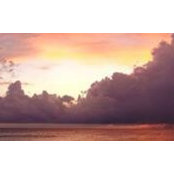 Leslie Moore's photo