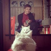 Foto de Delf Lo