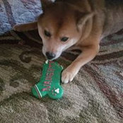 Kathy Aschoff's photo