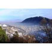 Cristina Centea's photo
