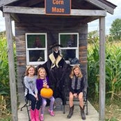 Sharon Bauer's photo