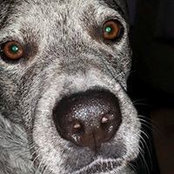 Amy Lopez's photo