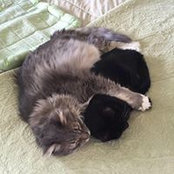 Rumi Walsh's photo