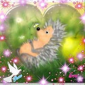 Nelya Shpychka's photo