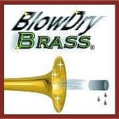 BlowDry Brass's photo