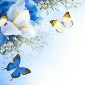 Priscilla Griesel Fowler's photo
