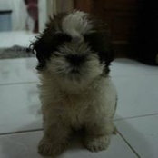 Ting Lagnada's photo