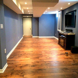 This is an example of a small traditional fully buried basement in Toronto with blue walls and medium hardwood flooring.