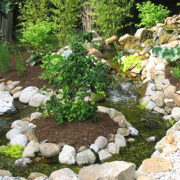 Neilish Water Garden - Branford