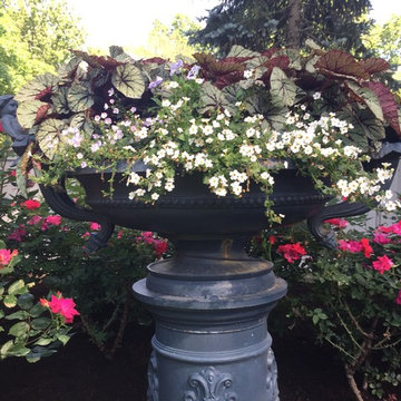 Summer Flowers and Containers