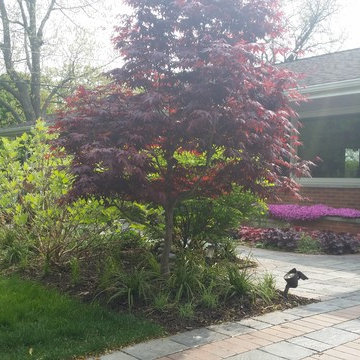 sycamore mulch-less conversion