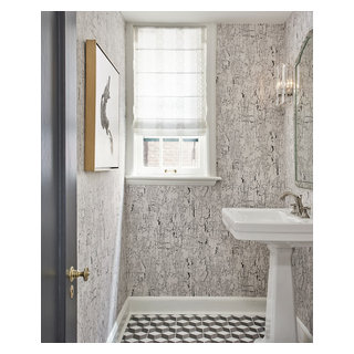 Lincoln Park Co-op - Transitional - Powder Room - Chicago - by Kim ...