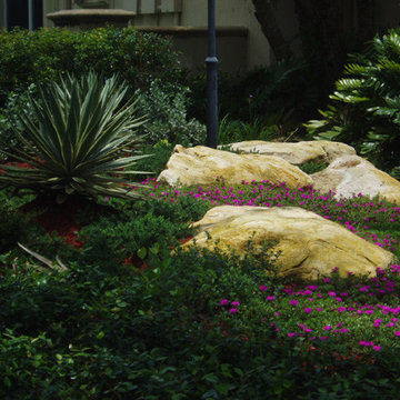 Florida Cap rock and portulaca in the landscape