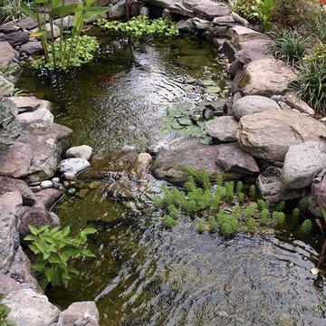 Hardscapes & Outdoor Kitchens