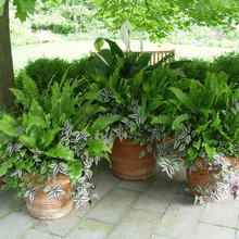 Outdoor Containers