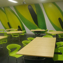 Wall Graphics and Coverings