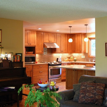 Warm Transitional Kitchen